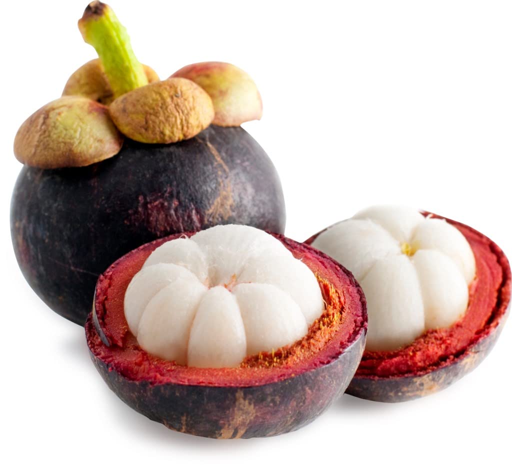 Frische Mangostan 1 kg – Die „Königin der Früchte“ | Einzigartiges Süß-Sauer-Aroma | Reich an natürlichen Antioxidantien (Xanthone) | Handverlesene Premium-Qualität direkt aus den Tropen