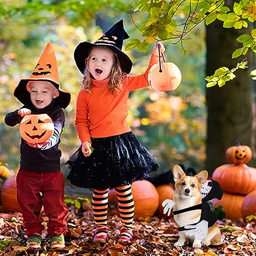 Halloween Haustier Kostüm, Reiter Hundekostüm, Haustiere Party Cosplay Bekleidung, Haustier Hunde Halloween Reiter Kostüm für Kleine bis Große Hunde (XL)