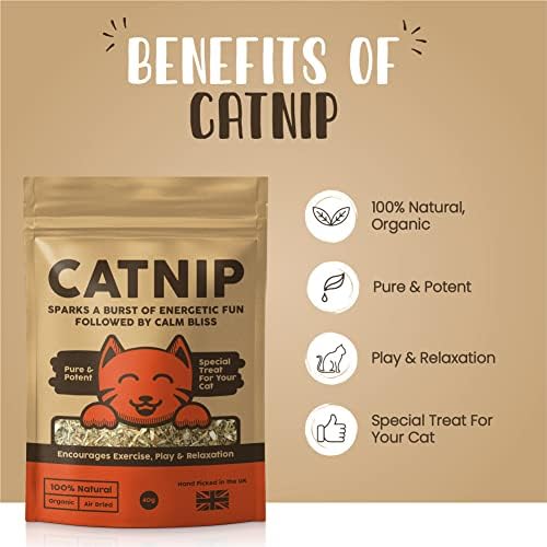 100% Natural Catnip | Encourages Exercise & Relaxation | Pure & Potent | 100% Natural, Organic & Air Dried | Cat Nip Cat Treat 40g