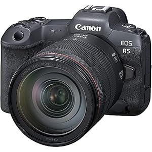 Canon EOS R5 Camera with 24-105mm f/4 Lens (4147C013) Bundle — photo 6 of 6