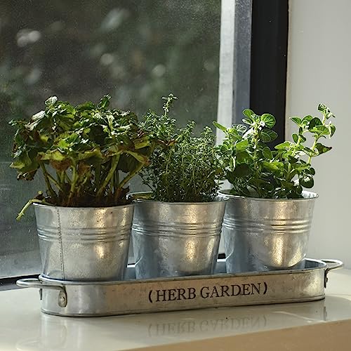 Perfnique Indoor Herb Garden, Herb Garden Planter For Indoor/Outdoor thumb #5