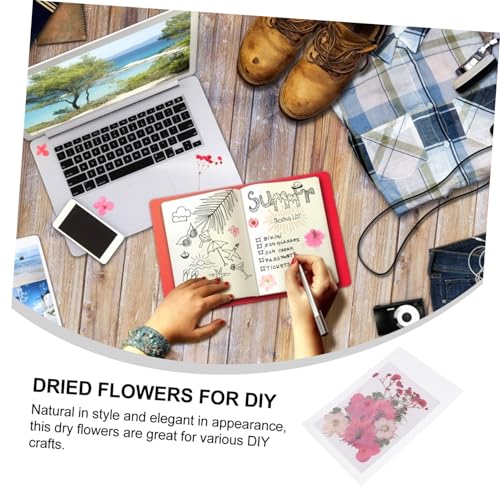 30 piezas flores prensadas secas para manualidades miniatura 4