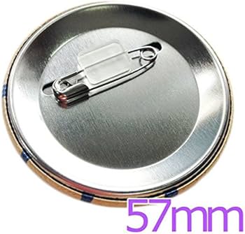 51bujGkPwrL._AC_UF350,