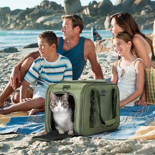 Petsfit Transportbox Katze Flugzeug Transporttasche Katze Hund mit Decke Hundetasche stabil & atmungsaktiv, hochwertige Matertial mit Trolley-Hülse Olivgrün(49x23x28 cm)