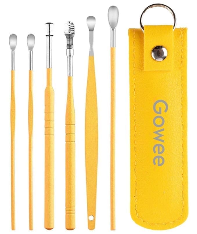 ETSAP ( PACK OF 2 ) The Force Behind Your Health Ear Cleaning Kit Steel Ear Cleaner Reusable Ear Wax Remover Tool Kit Set With Storage Pack, Ear Curette Cleaner And Spring Ear Buds Cleaner 6 Pcs Set (MULTICOLOUR)( PACK OF 2 )