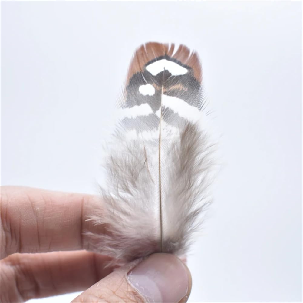 Naturalne pióra bażanta, Naturalne pióra bażanta Multicolor 3-7cm 20-200 szt. Do wyrobu biżuterii rzemiosło DIY(20 Piece)