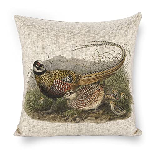 Icotoibabie Pheasant Family Linen Throw Pillow Covers Farmhouse 18x18 Double Sided with Zipper Decorative Pillows for Couch Cushion Sofa Outdoor