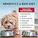 Northwest Naturals Freeze-Dried Beef Dog Food - Bite-Sized Nuggets - Grain-Free, High-Protein, Raw Diet, Human-Grade Ingredients, All Natural, Premium Quality, Healthy & Nutritious - 12 Oz