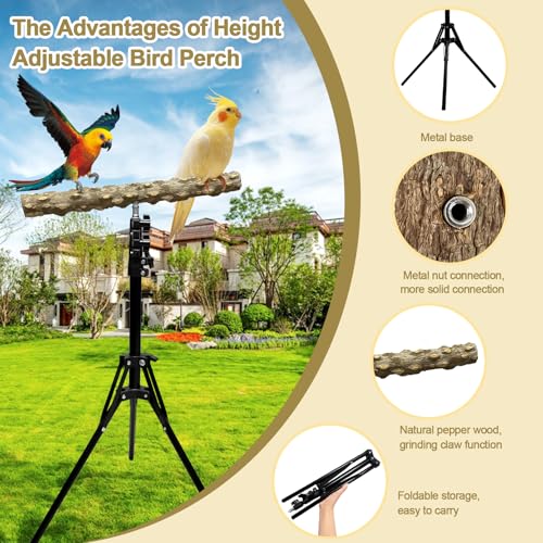 Image of 16-63 Inch Height Adjustable Bird Perch Pepper Wood Bird Training Perch Stand Parakeet Perches Indoor and Outdoor Parrot Stands for Small to Medium Bird