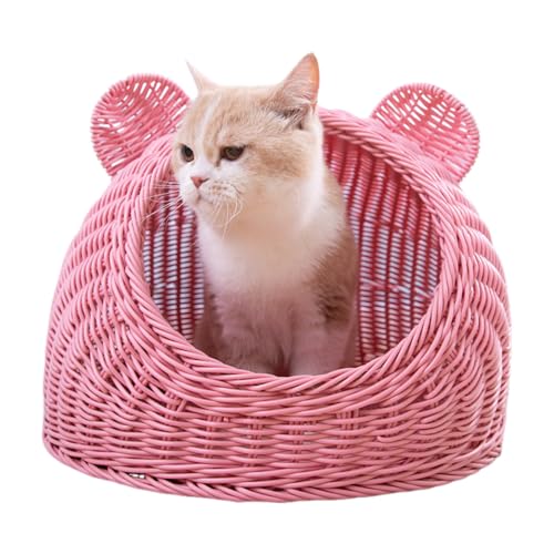 L xbh ėp ˂   LbgnEX ^ hhJr 􂦂 }bgt (45×33×25cm 6.5kgΉ)