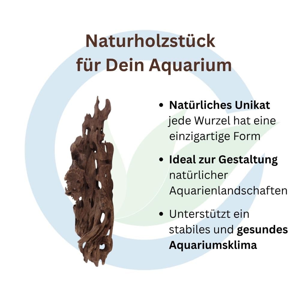 AquaOne Honey Comb Wurzel L Aquarium Wurzel Mangrove Holz Deko Aquascaping Dekoration Landschaft Moos Natur Echtholz