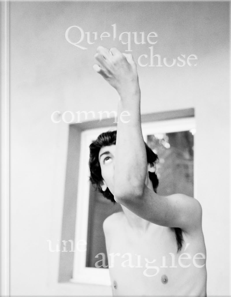 Quelque chose comme une araignée pour sublimer votre salon moderne