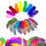 basteln deko geburtstag Verschiedene Farben: Federn sind mehrfarbig und voll genug, um alle Ihre Bedürfnisse zu erfüllen, wie z. B. Anziehsachen oder Dekorationen an Geburtstag, Hochzeit, Party usw.