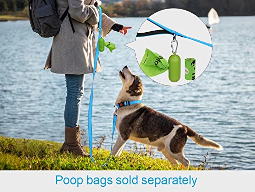 Taglory Nylon Dog Leash 6Ft, Soft Padded Handle Pet Reflective Leashes For Puppy Small Medium Dogs Walking & Training, Sky Blue #TOP4