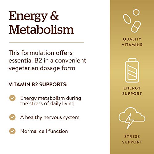 Solgar Vitamin B2 (Riboflavin) 100mg, 100 Servings - Energy Metabolism - image 4