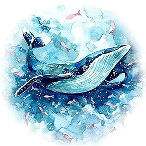 Kit point de croix débutant motif baleine facile à broder pour enfant et adulte 11CT