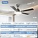 Passky Ceiling Fans with Lights, 52 inch Sleek Ceiling Fan with Light and Remote Control, 3CCT, Dimmable, Reversible, Noiseless, Black Ceiling Fan for Bedroom, Living Room
