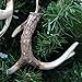 WHW Whole House Worlds Farmers Market Antlers, Set of 3, Bleached Tips, Rustic Brown Bases, Natural Twine Hanger, Each 5 Inches Long, Hand Cast Polyresin Sculptures