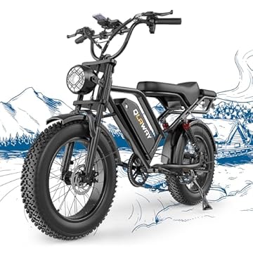 e bike with two batteries