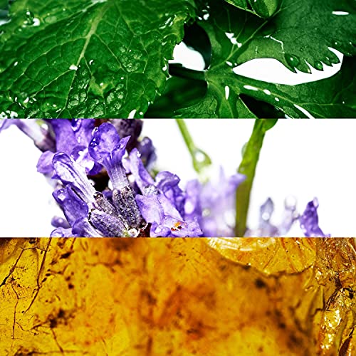 DAVIDOFF Cool Water After Shave Balm 100ml - Image 5