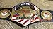TNA United States Wrestling Championship Belt Gold Plated