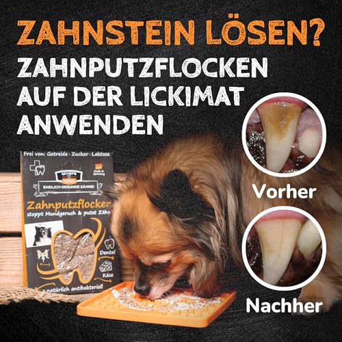QCHEFS 2X Zahnputzflocken für Zahnpflege Hund Zahnreinigung gegen Zahnstein