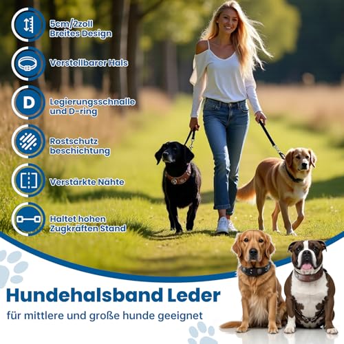 Lederhalsband Hund, 5cm Hundehalsband Leder Breit, Einstellbar Hunde Halsbänder Mit Metallschnalle, Halsband Hund Breit Für Große Und Mittelgroße Hunderassen (Schwarz, L)