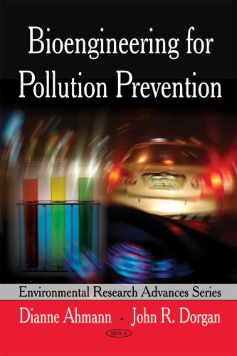 Bioengineering for Pollution Prevention view 2