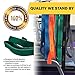 Tribe Lifting Resistance Bands for Working Out Men and Women - Set of 5 Pull Up Bands for Strength Training, Exercise Bands with Handles, Door Anchor and Bar Options for Home Gym
