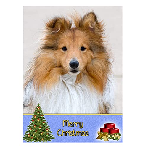Shetland Sheepdog Dog Christmas Card 'Merry Christmas' - Special Animal Xmas Card for Him Her from Pets Kids