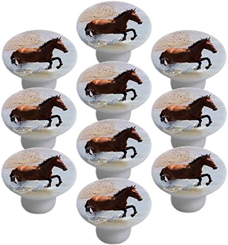 Horse on Beach Day Ceramic Cabinet Drawer Knob (Set of 10 Knobs)
