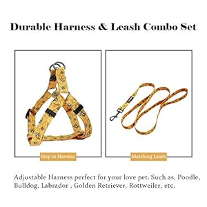 Qqpets Dog Harness Leash Set Adjustable Heavy Duty No Pull Halter Harnesses for Small Medium Large Breed Dogs Back Clip Antitwist Perfect for Walking xs1218 Chest Girth Yellow Bee Cucciolini Doodles Qqpets dog harness leash set adjustable heavy duty no pull halter harnesses for small medium large breed dogs back clip anti twist perfect for walking xs12 18 chest girth yellow bee cucciolini doodles
