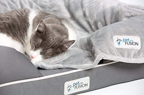 Petfusion Premium Plus Quilted Pet Blanket Blanket, Multiple Sizes For Dogs & Cats. [Light Inner Fill 70Gsm, Reversible Gray Micro Plush]. 100% Soft Polyester, Grey, Small (31 X 27) (Pf-Pm3A) #TOP2