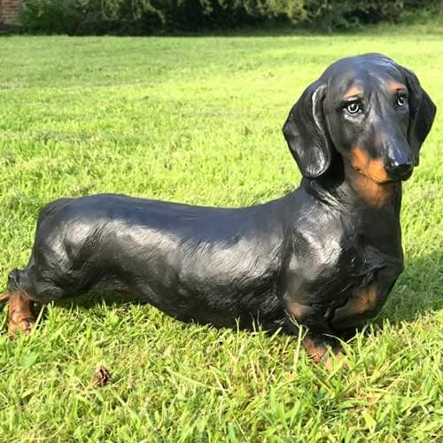 large sausage dog