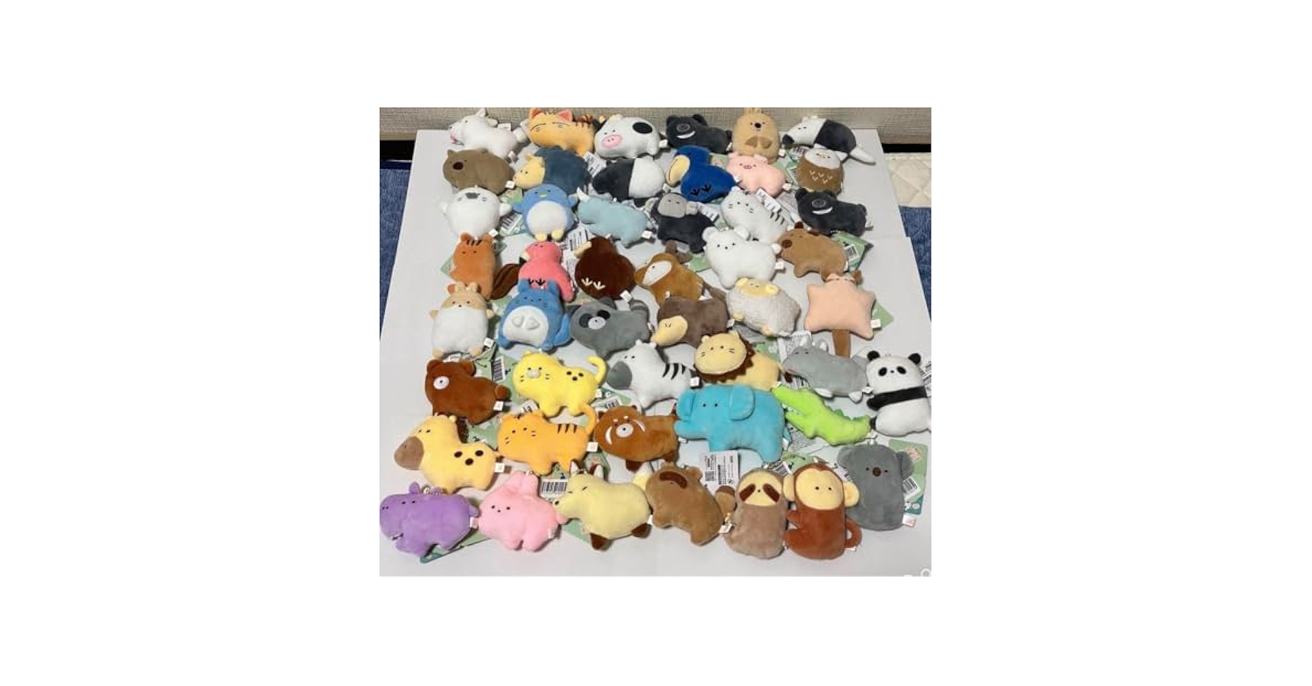 Amazon.co.jp: つぶらな瞳の動物園 全48種類セット : Toys & Games