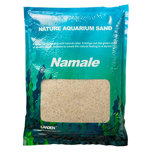 Quick Guide On Best Sand For Axolotl Tank In 2022