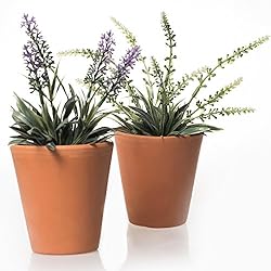 Macetas Barro Altas Alfareros Damian Canovas Pack DE 2 MACETAS DE Barro EN Color Terracota, Medidas 10 X 10 Planta NO INCLUIDA