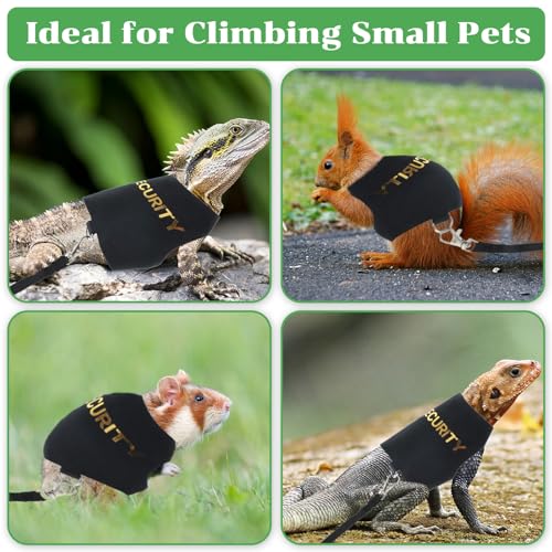 Image of Bearded Dragon Harness and Leash Set, Adjustable Bearded Dragon Harness with 5 ft Short Leash, Escape Proof Outdoor Walking Training Leashh for Beardedd Dragons Lizard Small Pets