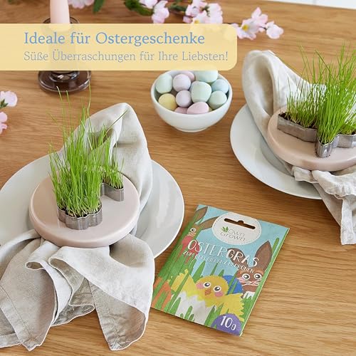 Ostergras Grün Samen zum Dekorieren und Begrünen - 10g Schönes Ostergras für die Anzucht auf Fensterbank, Balkon, in Topf und Schale - Katzengras Samen - Premium Pflanzensamen OwnGrown