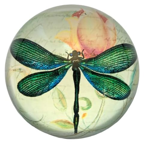 Value Arts Green Dragonfly & French Script Glass Dome Paperweight Cover