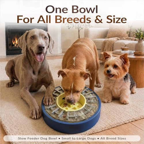 Image of KADTC Adjustable 5-60 Min Slow Feeder Dog Bowl & Puzzle Feeder Anti-Gulping