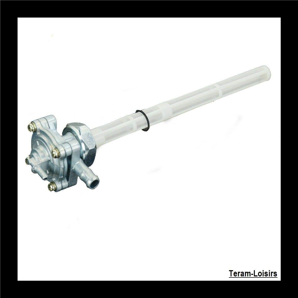 TERAM LOISIRS Robinet Essence Compatible pour Honda 600 CBF Hornet de 2004 2005 2006 Neuf France