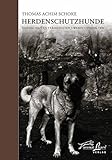 kangal  Herdenschutzhunde: Eigenschaften - Fhigkeiten - Wesen - Verhalten