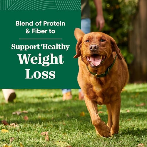 Image of Nutro Natural Choice Healthy Weight Large Breed Dry Dog Food, 30 lb