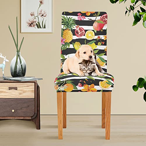 Kigai Tropical Fruit Chair Covers For Dining Room Stretch Chair Slipcovers Removable Washable Anti-Dust Kitchen Chair Cover Decorative Seat Protector Set Of 2 #TOP4
