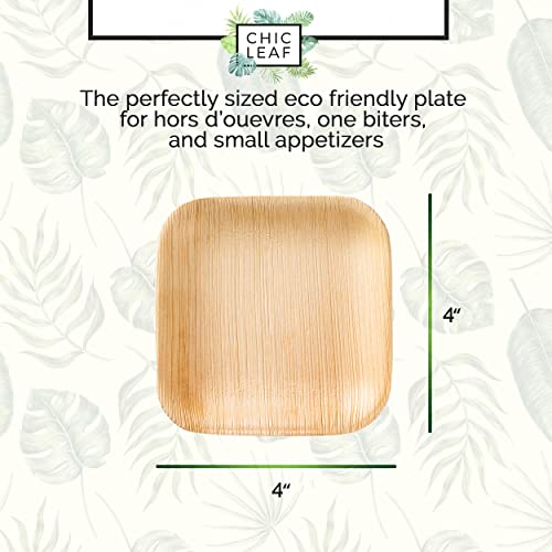 Chic Leaf Palm Leaf Plates Disposable Bamboo Plates Like 4 Inch Square (50 Count) - Mini 100% Compostable And Biodegradable Plates Styled For Appetizers At Weddings, Party, Events #TOP2