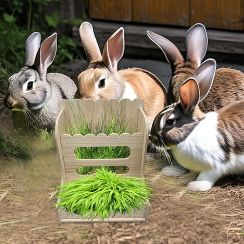 Portaheno para jaula de conejos y hámsters en hierba natural 3