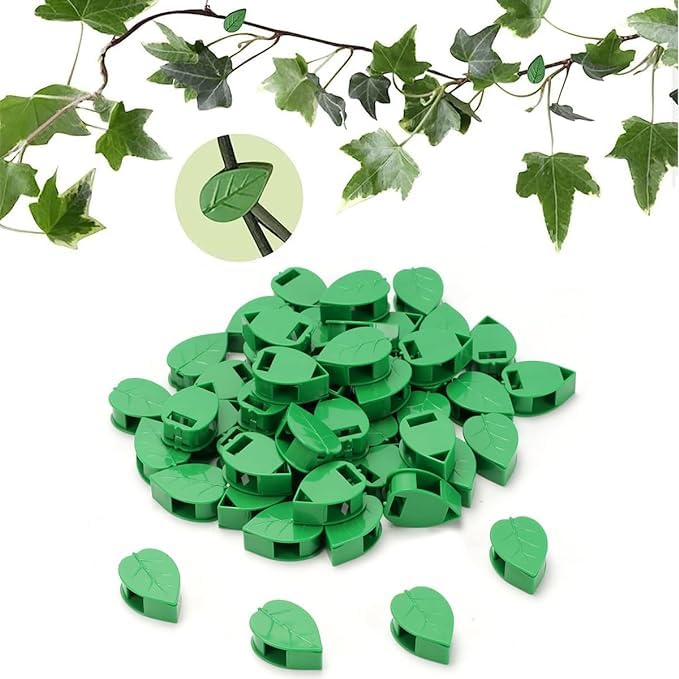 TASMAX money plant holder plant support clips plant clips for climbers money plant clips for wall support climber support for plants climbing clips for plants creeper climb clip LEAF SHAPE PACK of 50