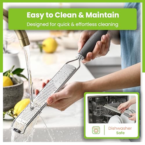 Image of Spring Chef Stainless Steel Lemon Zester - Garlic & Ginger Grater - Gray