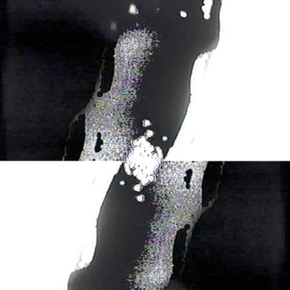 TEMPORARY [VINYL]